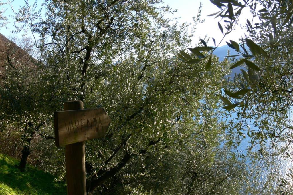 Luci Sul Lago - A Real Paradise Perledo Ngoại thất bức ảnh