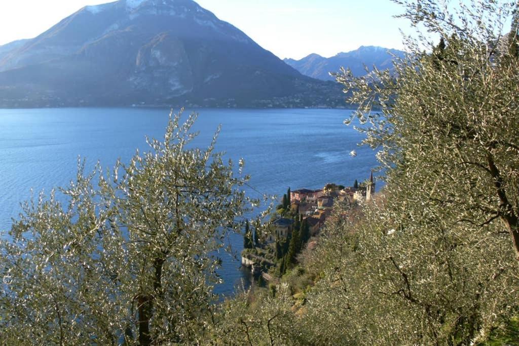 Luci Sul Lago - A Real Paradise Perledo Ngoại thất bức ảnh