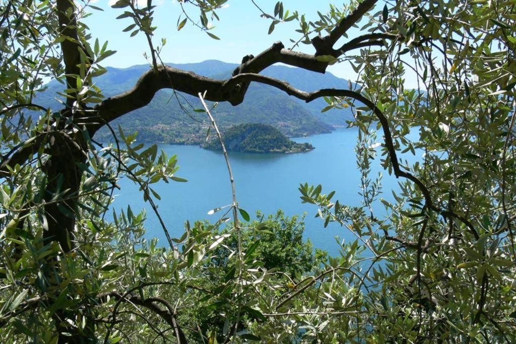 Luci Sul Lago - A Real Paradise Perledo Ngoại thất bức ảnh